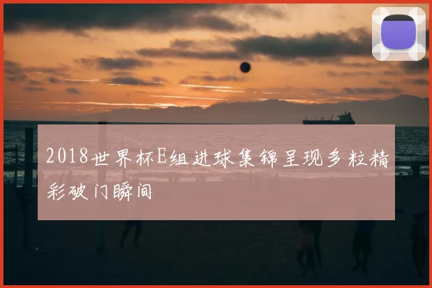 2018世界杯E组进球集锦呈现多粒精彩破门瞬间
